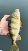 IMG_4760.jpeg