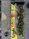 IMG_7663.jpeg