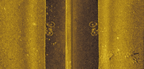 1790707332010.png 1790707332010.png