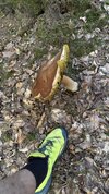IMG_9793.jpeg