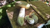 IMG_9753.jpeg