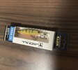 IMG_0764.jpeg