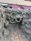IMG_20260929_184448.jpg