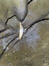 IMG_3683.jpeg IMG_3683.jpeg