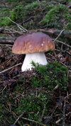 20191018_094957.jpg