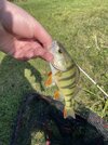 IMG_6704.jpeg