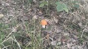 IMG_9879.jpeg