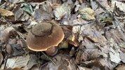IMG_9859.jpeg