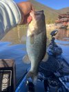 IMG_0324.jpeg