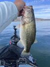 IMG_0486.jpeg