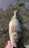 IMG_3803.jpeg