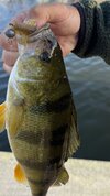 IMG_4989.jpeg