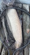 6BFBBFBD-7009-47D0-8D3C-9B9A0452432A.jpeg
