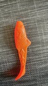 IMG_5077.jpeg