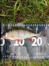 IMG_20261010_125038.jpg
