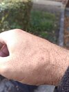 IMG20261010164342.jpg