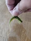 20261011_095507.jpg