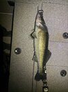 IMG_2570.jpeg