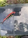 IMG_1970.jpeg