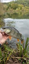 20261011_161326.jpg