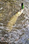 IMG_0482.jpeg