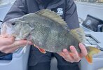 IMG_5388.jpeg
