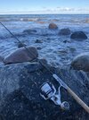 IMG_5447.jpeg