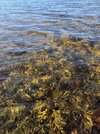IMG_5449.jpeg