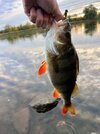 IMG_5099.jpeg
