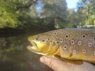 IMG_20261014_170606.jpg