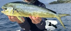 IMG_4536.jpeg
