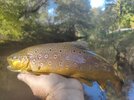 IMG_20261014_170601.jpg