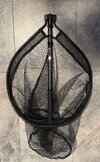 IMG_2503.jpeg