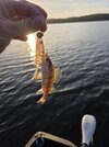 20261015_173329.jpg