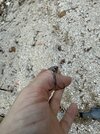 IMG_2806.jpeg