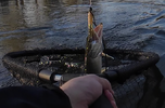 vlcsnap-2026-10-16-11h28m45s375.png