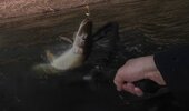 vlcsnap-2026-10-16-10h53m40s385.jpg