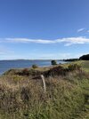IMG_5474.jpeg