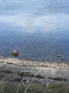 IMG_5468.jpeg