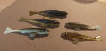 IMG_20261016_152942.jpg