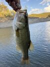 IMG_2927.jpeg