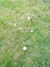 IMG20261018165201.jpg