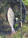 IMG_1851.jpeg