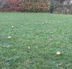 IMG_20261020_182715.jpg