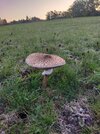 IMG20261020083023.jpg