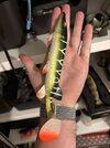 IMG_2051.jpeg