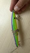 IMG_0908.jpeg