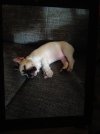 IMG_0591.jpeg