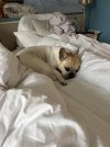 IMG_5465.jpeg