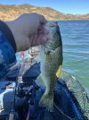 IMG_0641.jpeg